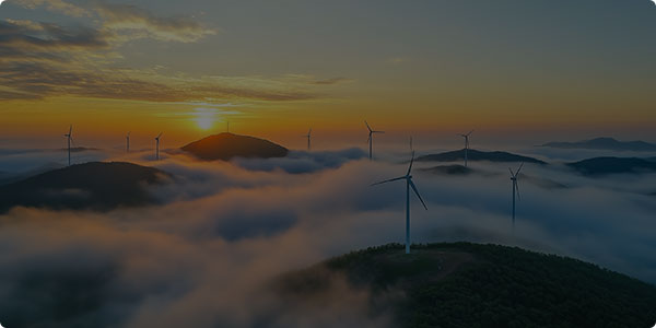 技術(shù)創(chuàng  )新